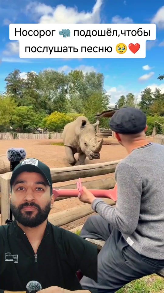 TikTok video thumbnail by animalworldcnn