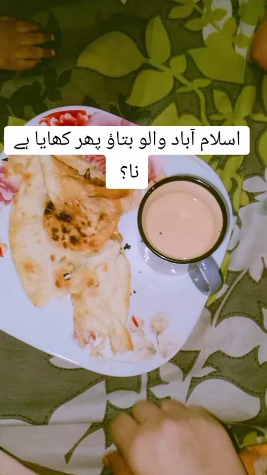 TikTok video thumbnail by familyvlogs.com