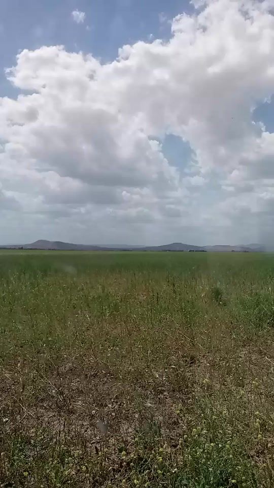 TikTok video thumbnail by moufida..dhiafi
