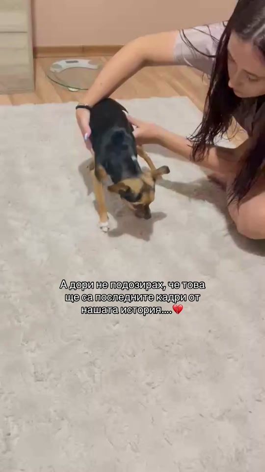 TikTok video thumbnail by zapryanovva
