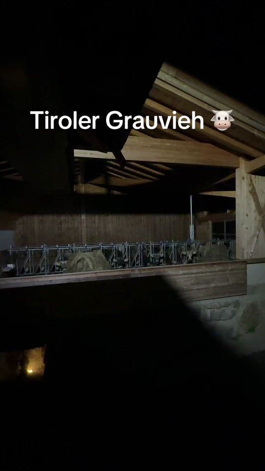 TikTok video thumbnail by felix_schafferer