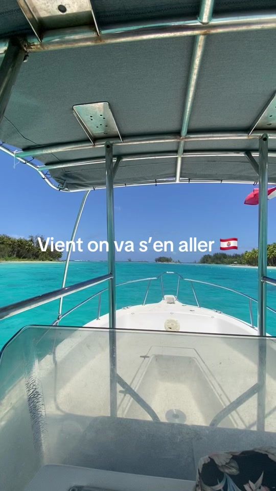 TikTok video thumbnail by anthea_bora