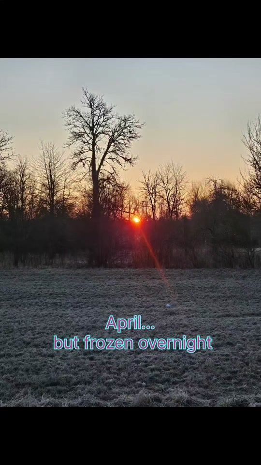 TikTok video thumbnail by shotinestonia