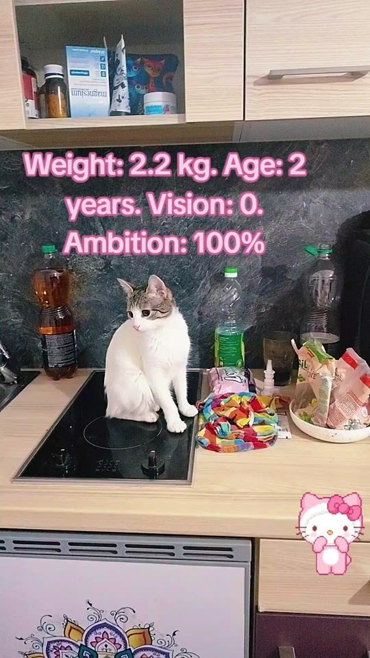 TikTok video thumbnail by tiny_miracle_kaya