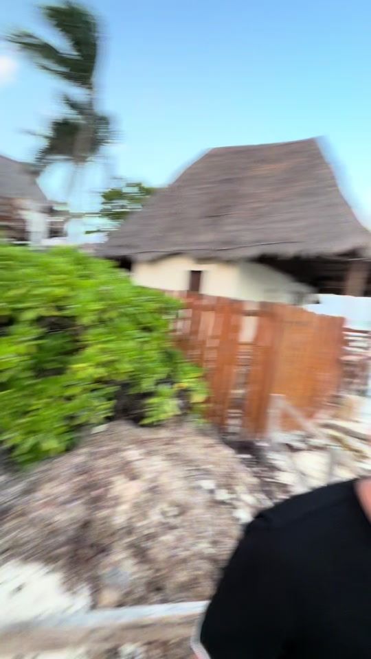 TikTok video thumbnail by andreagomezdd