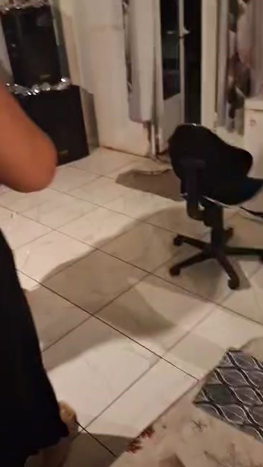 TikTok video thumbnail by honorine_zmd