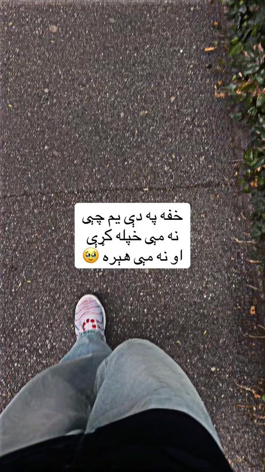TikTok video thumbnail by shokh..halak