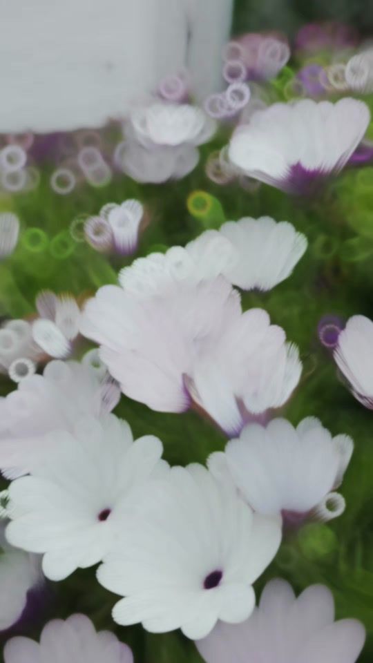 TikTok video thumbnail by mikeorphanides