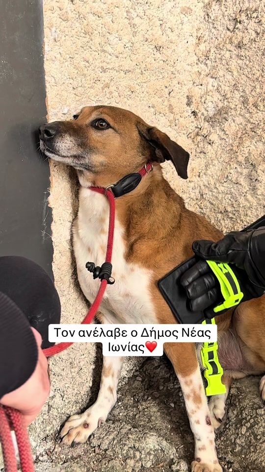 TikTok video thumbnail by katerinapapadimit
