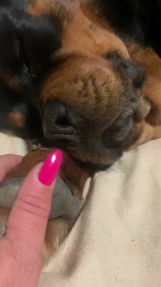 TikTok video thumbnail by ilmiorott