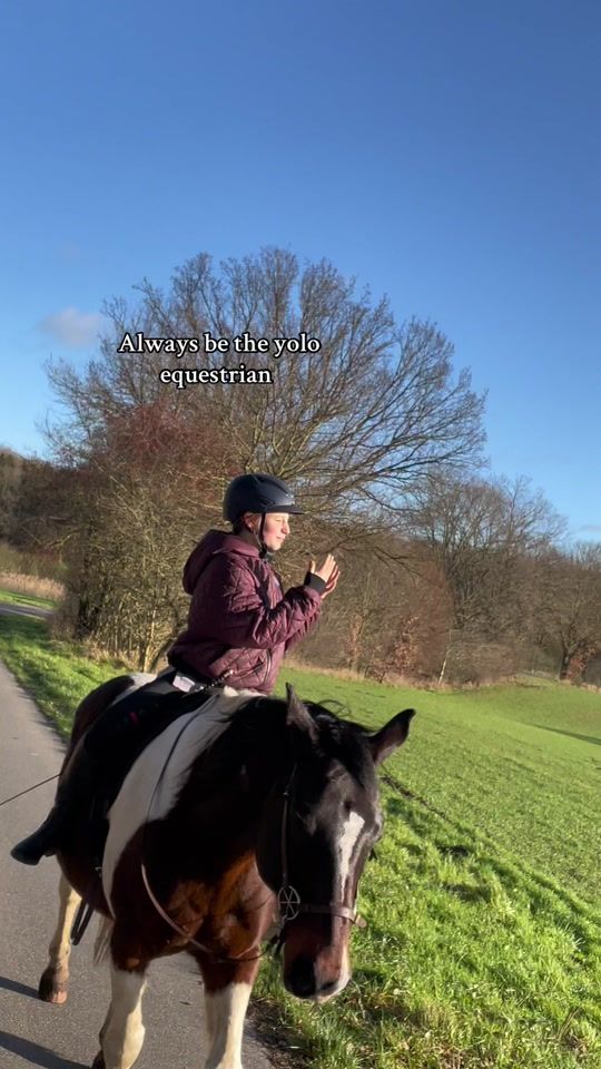 TikTok video thumbnail by tik_miles_tok