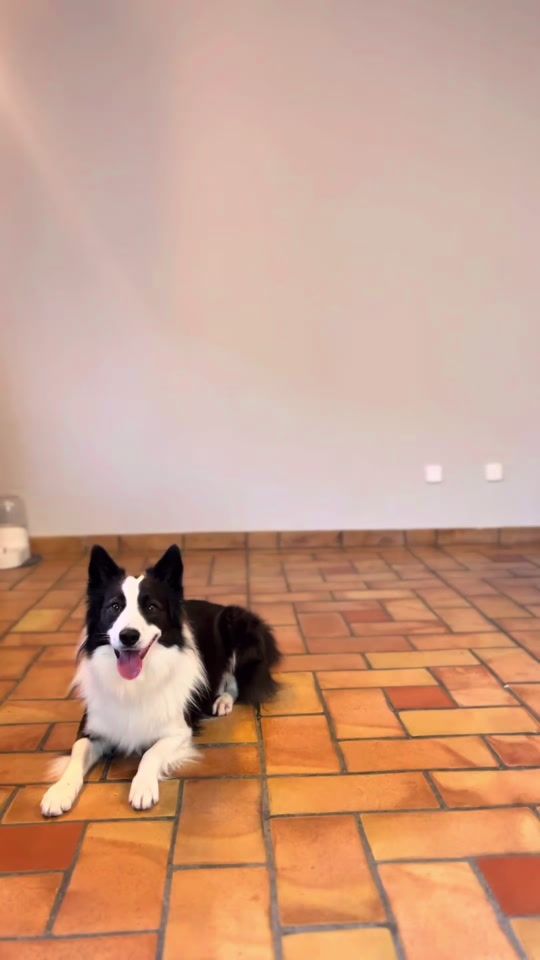 TikTok video thumbnail by llimilesnenes