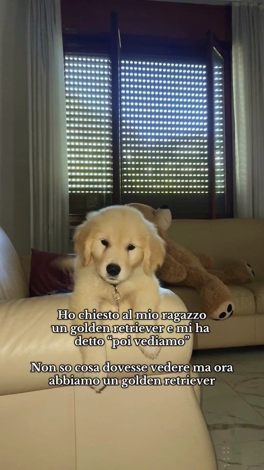 TikTok video thumbnail by goldenepal