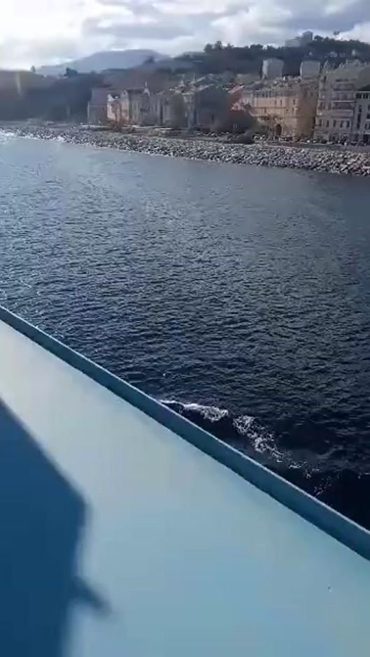 TikTok video thumbnail by emilneo2