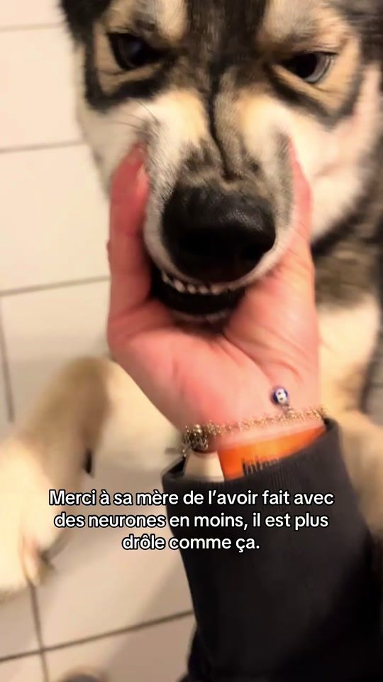 TikTok video thumbnail by chloe.ncd
