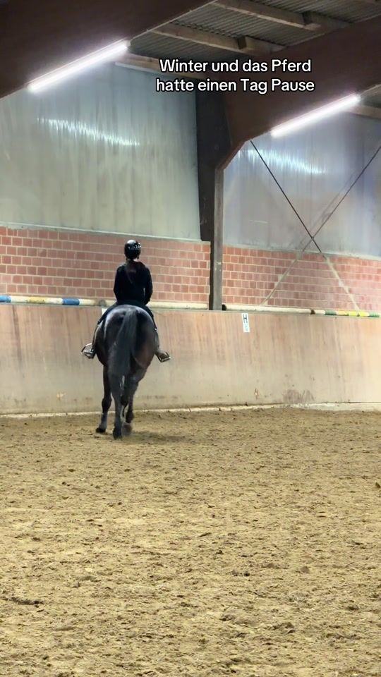 TikTok video thumbnail by gisella.equestrian