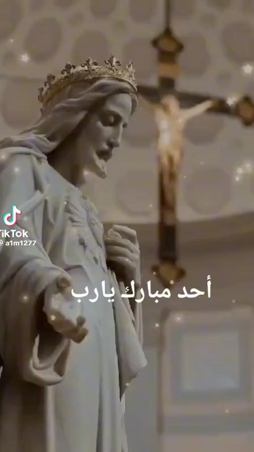 TikTok video thumbnail by summerbagdadi