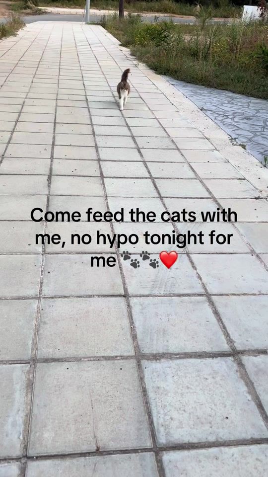 TikTok video thumbnail by tracycaincypruscats