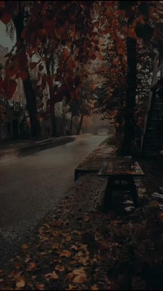 TikTok video thumbnail by shaghaf_247