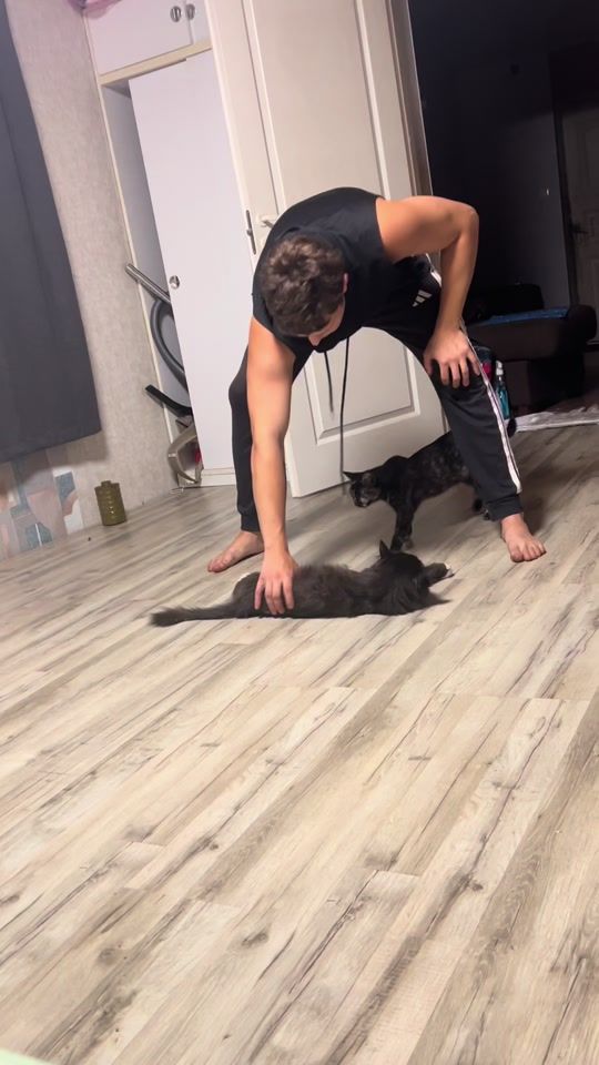 TikTok video thumbnail by p.a.n.d.o.r.a_1