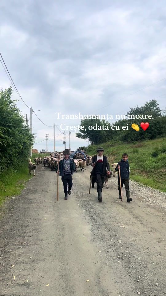 TikTok video thumbnail by ioana.tara