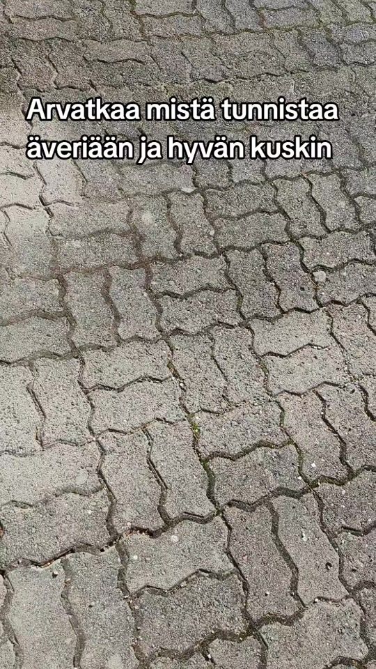 TikTok video thumbnail by vainpete