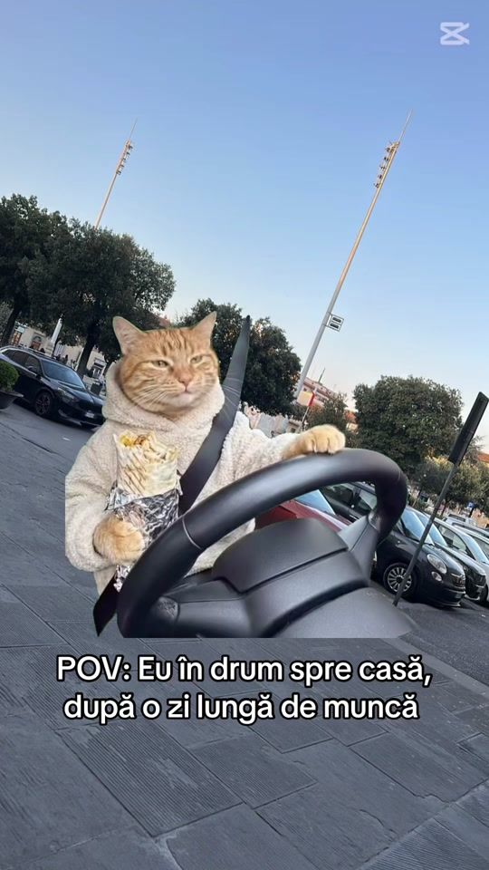 TikTok video thumbnail by steaua.adevarata