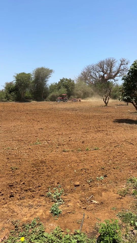 TikTok video thumbnail by dawour.agri