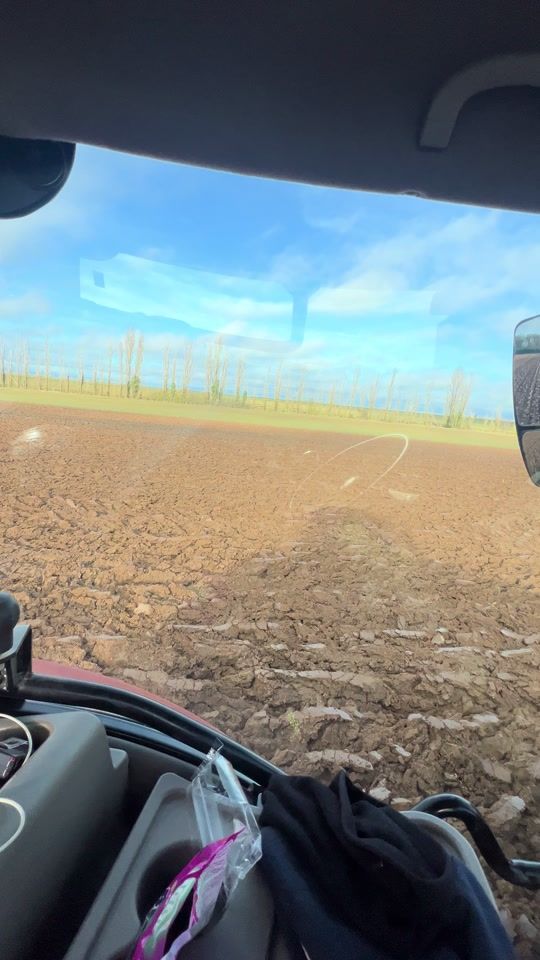 TikTok video thumbnail by clio_agri28