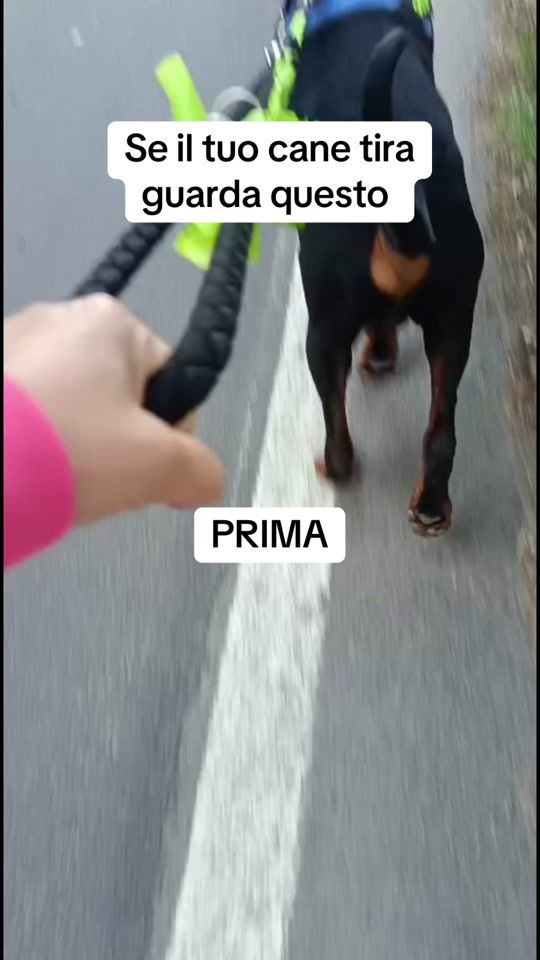 TikTok video thumbnail by horus_dobermann