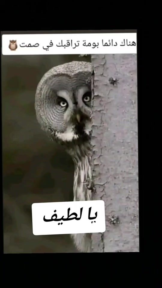 TikTok video thumbnail by uzeerrrr2120