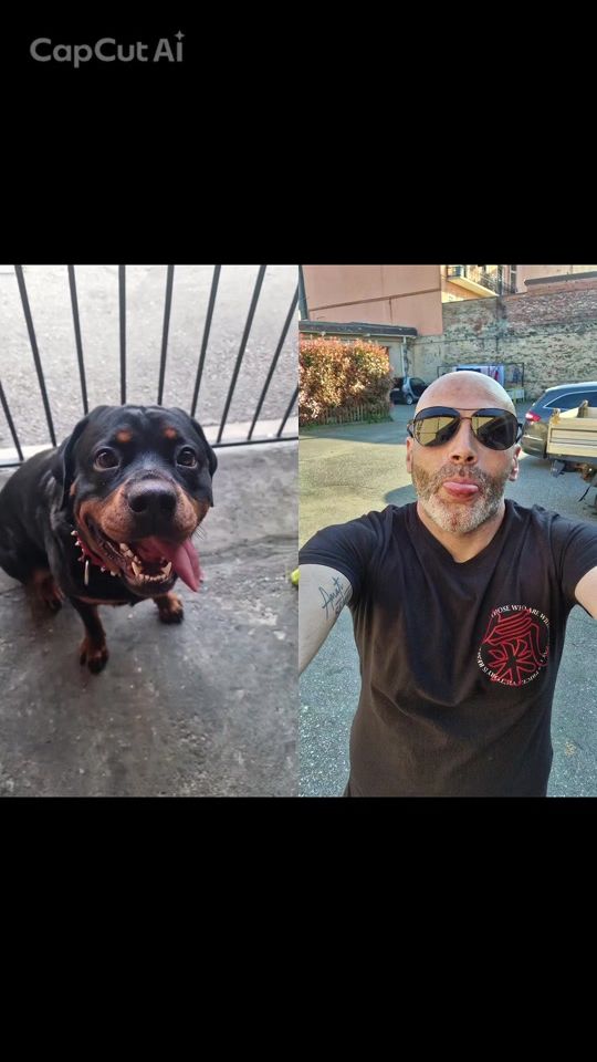 TikTok video thumbnail by ottokeyra