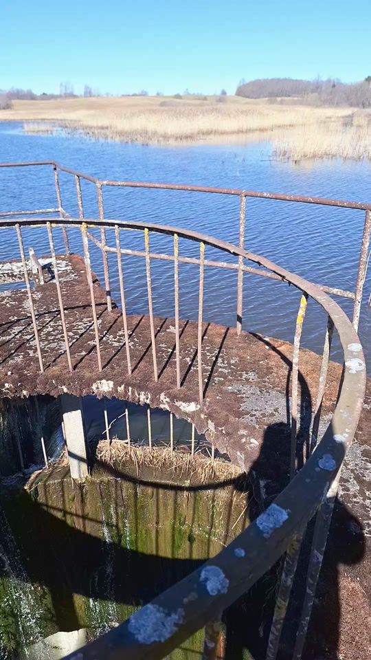 TikTok video thumbnail by rimantasrmt