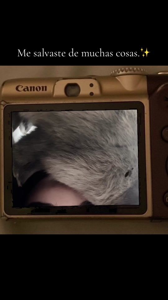 TikTok video thumbnail by user222_352