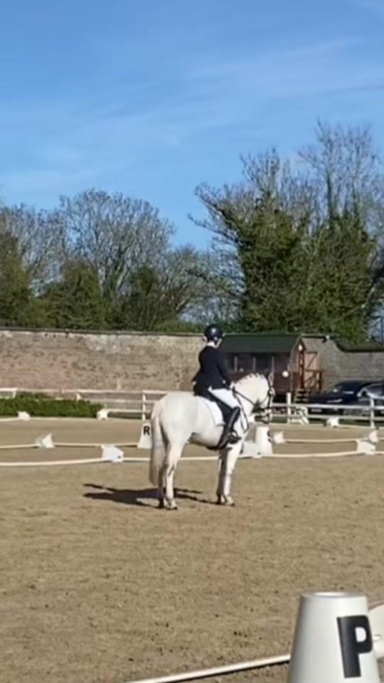 TikTok video thumbnail by lauraequestrian11