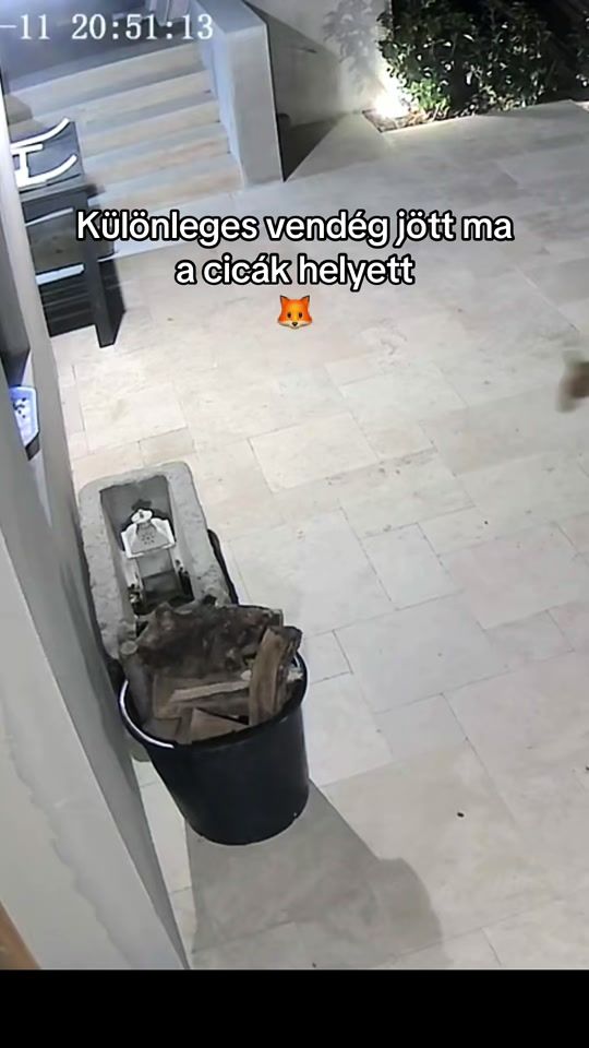 TikTok video thumbnail by nettimezei