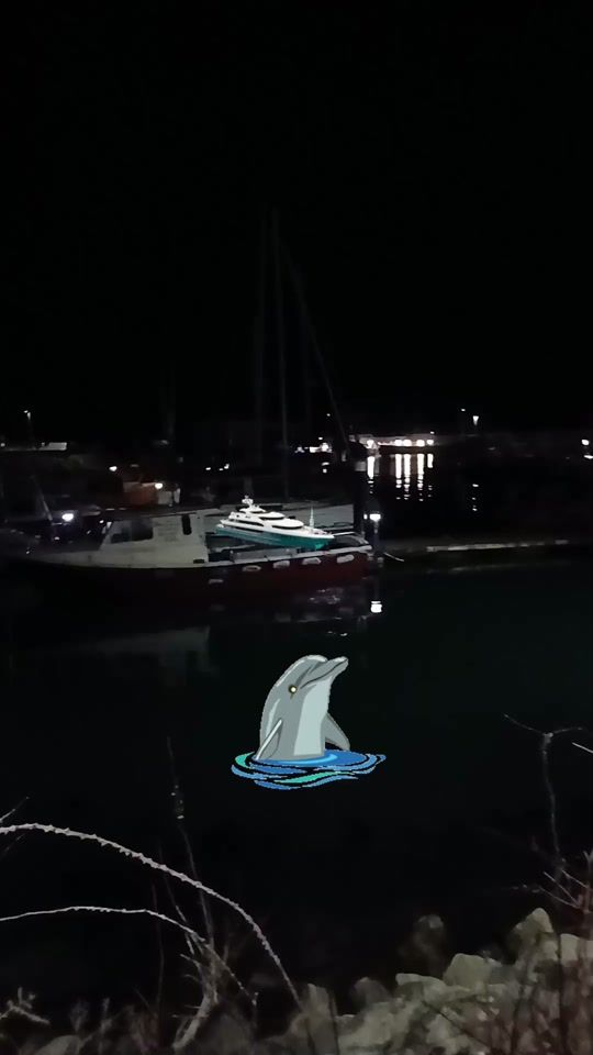 TikTok video thumbnail by howmuch070