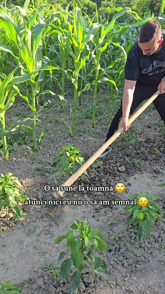 TikTok video thumbnail by petcuflorin1