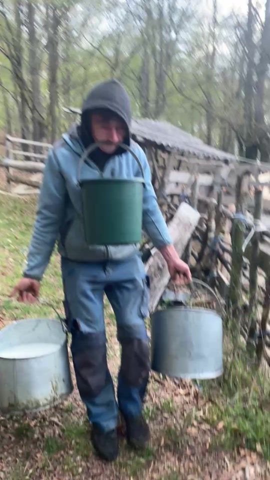 TikTok video thumbnail by vajdea.paul1995