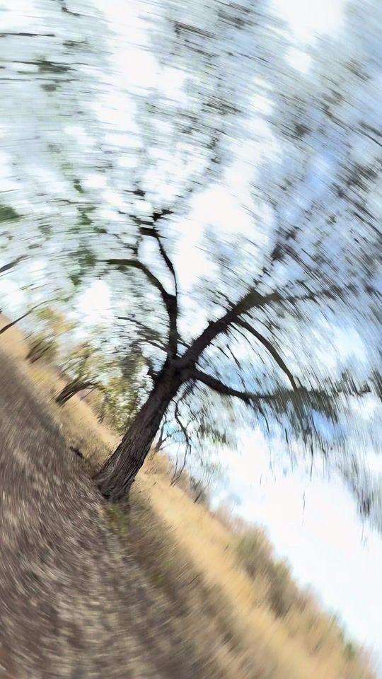 TikTok video thumbnail by heycamilli