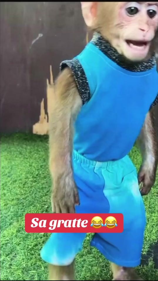 TikTok video thumbnail by ballclash02