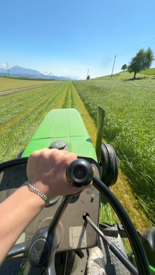TikTok video thumbnail by nevio.arnold