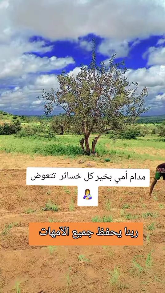 TikTok video thumbnail by .brt250