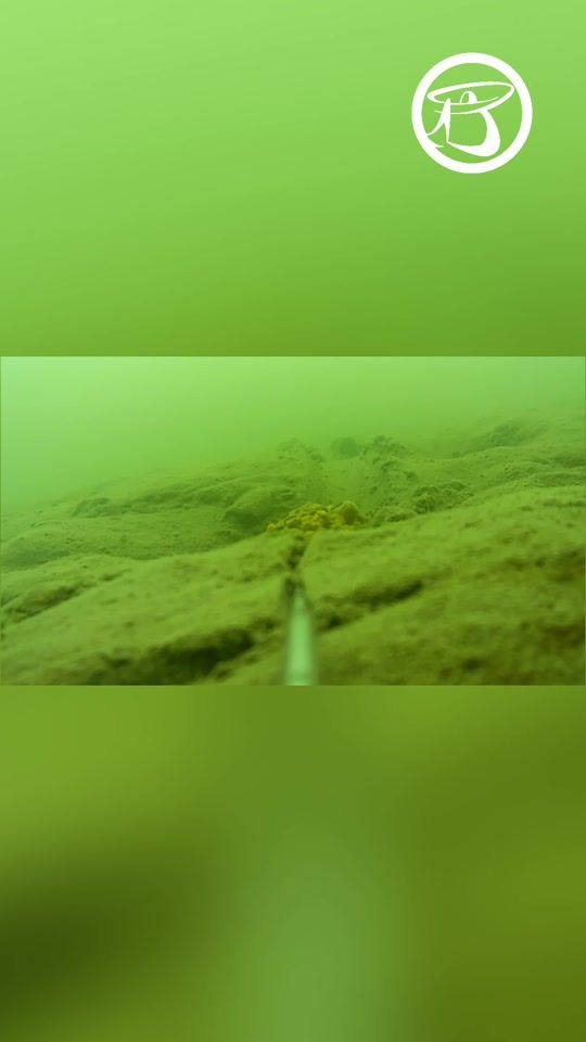 TikTok video thumbnail by sipifeeder