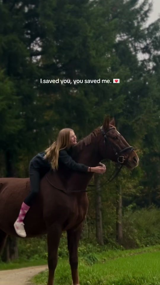 TikTok video thumbnail by mona.meister.equestrian