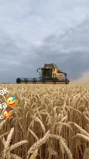 TikTok video thumbnail by balintgazda02