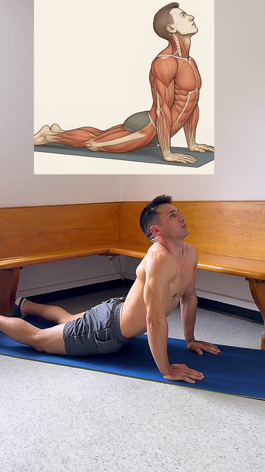 TikTok video thumbnail by fitandpower