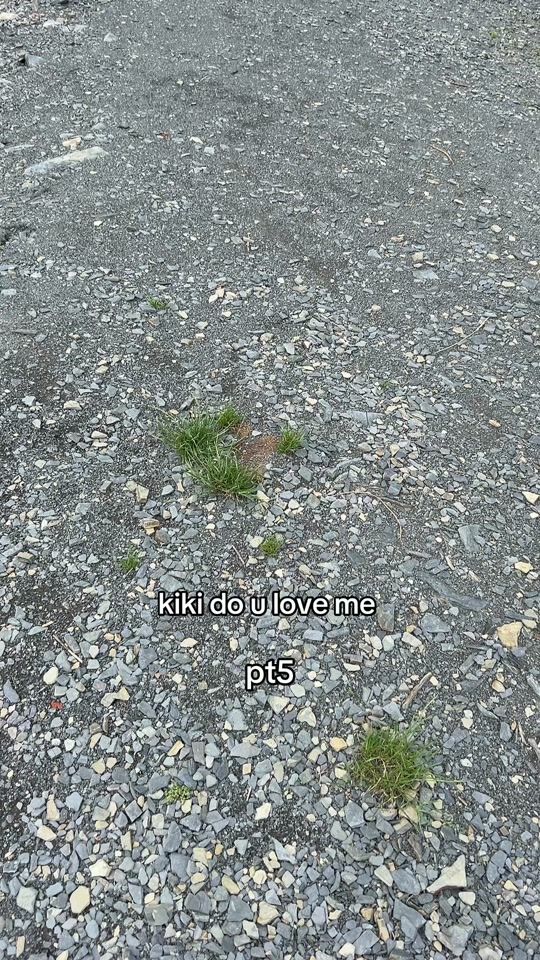 TikTok video thumbnail by filip_leja