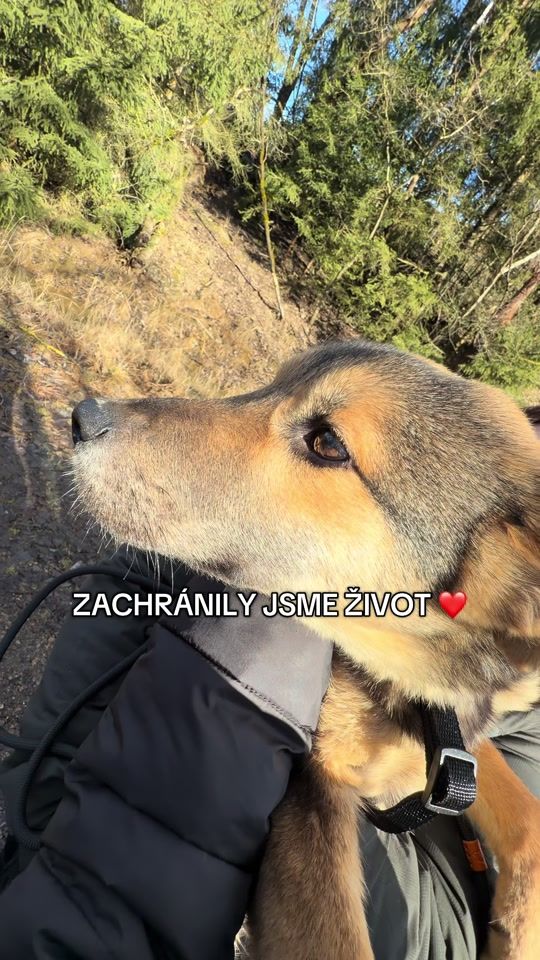 TikTok video thumbnail by maky.salik
