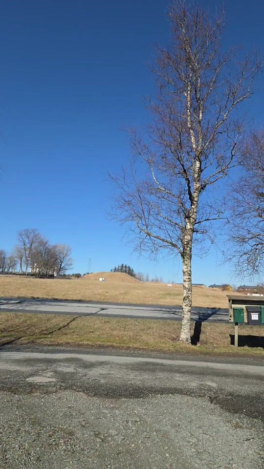 TikTok video thumbnail by frk.rieber
